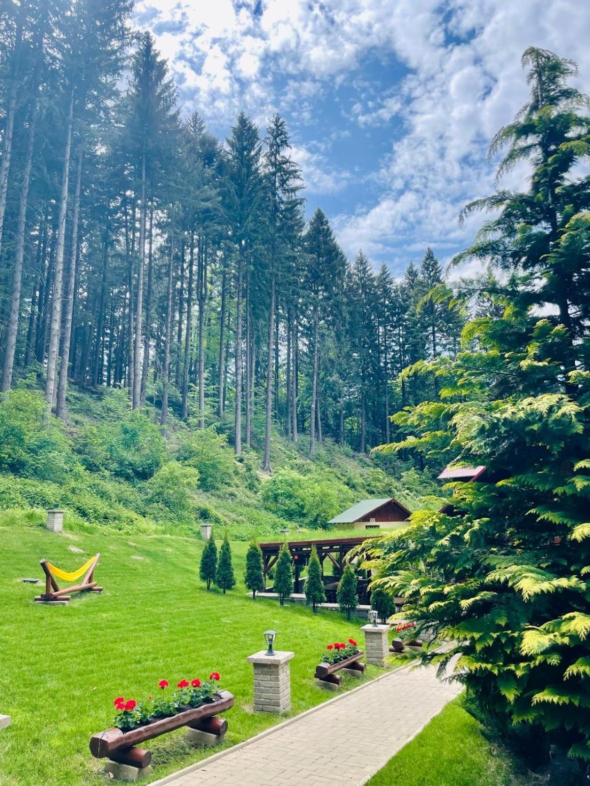 Boutique Hotel Casa Emil Poiana Brasov Εξωτερικό φωτογραφία