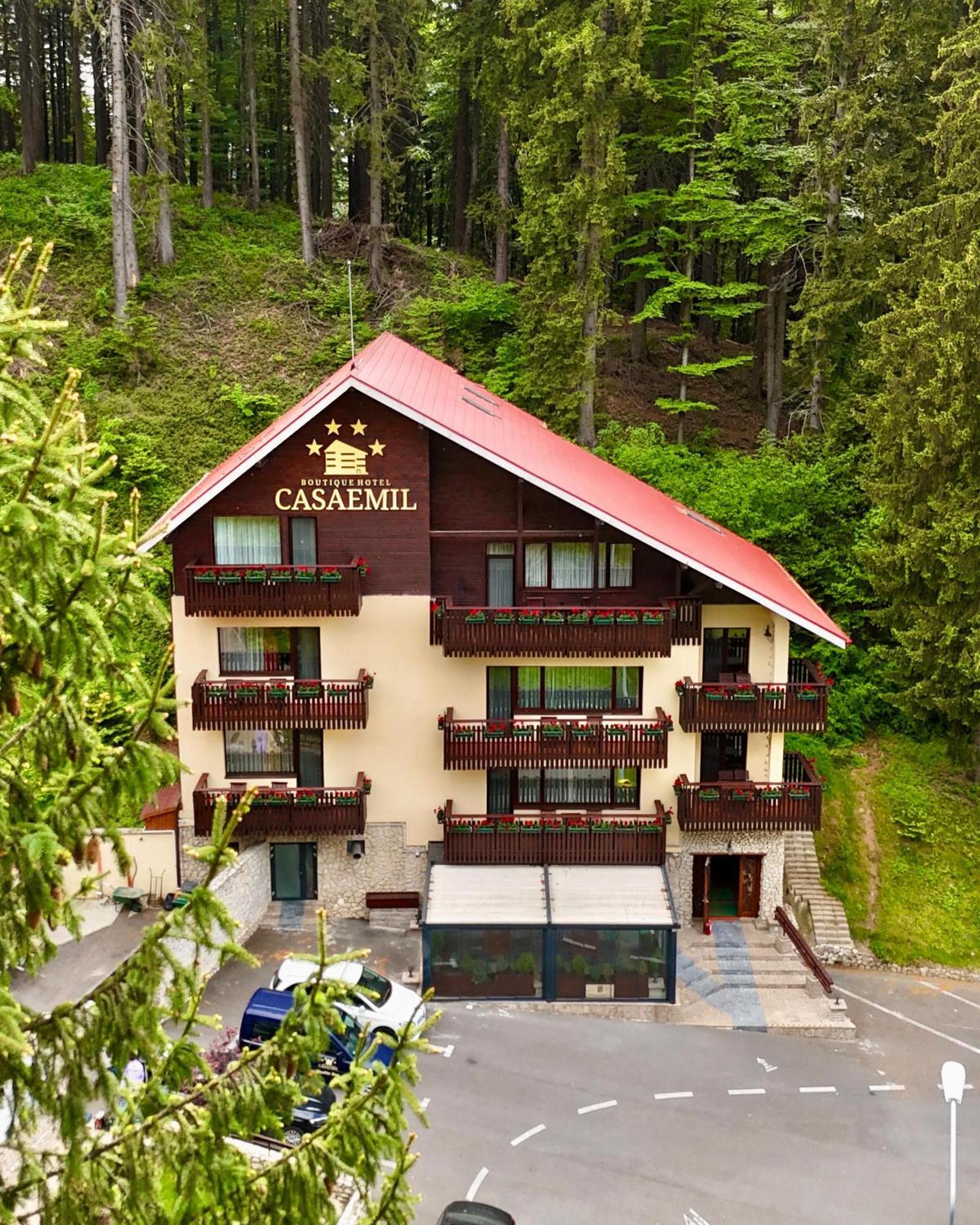 Boutique Hotel Casa Emil Poiana Brasov Εξωτερικό φωτογραφία